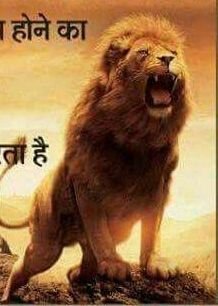 CarlosC74922063's profile picture. As que las cosas sucedan