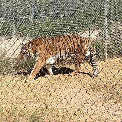 nothing3578543's profile picture. 