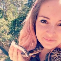 Dr Meg Edwards (@alittlebitmeg) 's Twitter Profile