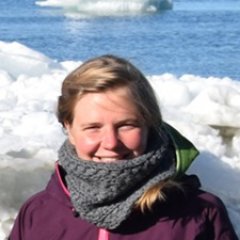 PhD student | permafrost | carbon | hydrology | climate | green