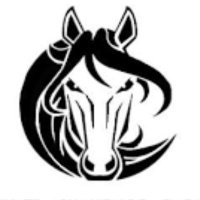 Mt. Carmel Mustangs (@mce_hcs) 's Twitter Profile