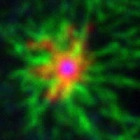 LeritLab (@lablerit) 's Twitter Profile