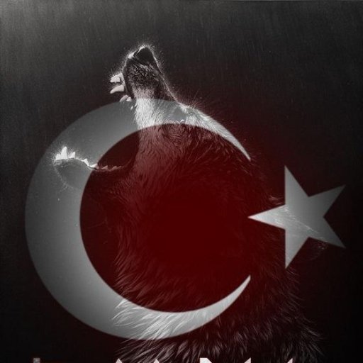 alp_yigit6's profile picture. 