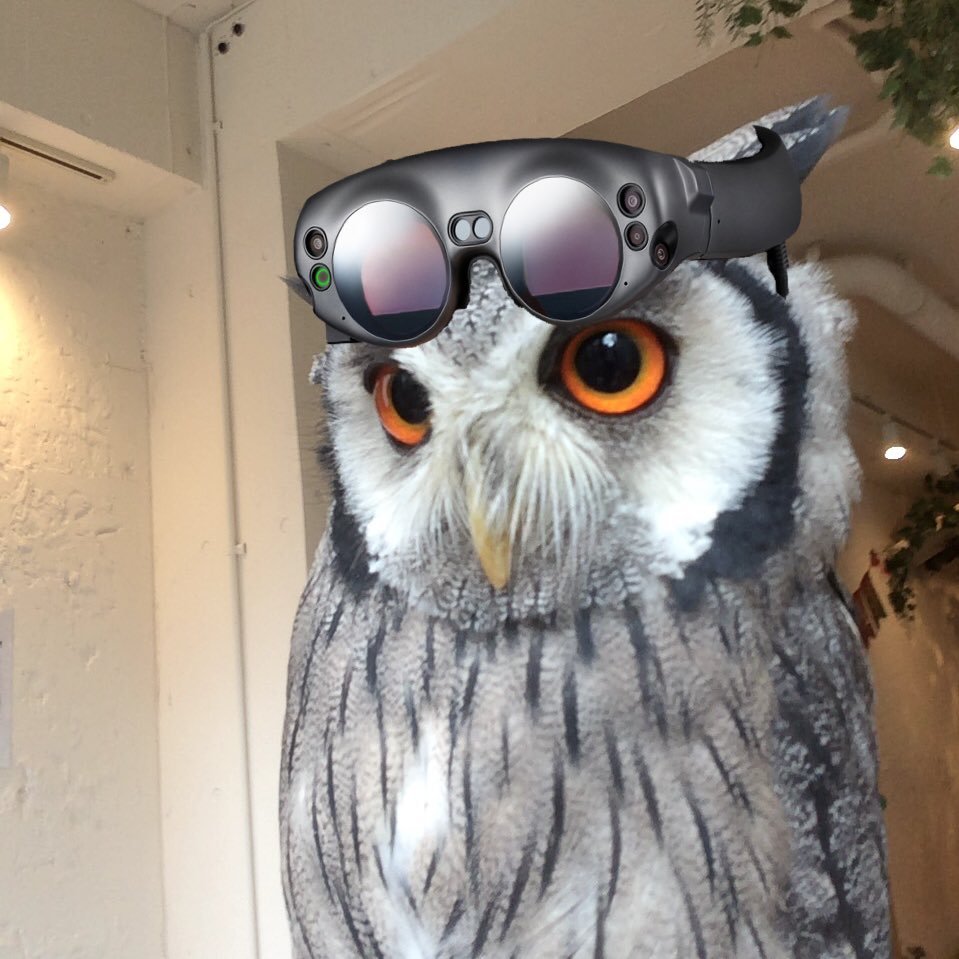 _inevv's profile picture. なんもわからん