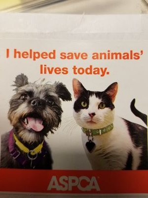 IreneMe78818682's profile picture. 