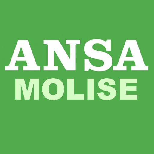 Le top news dell’ANSA, la più importante agenzia d’informazione in Italia. Ultim’ora, notizie, foto e video dal Molise. Aggiornamenti 24 ore su 24.