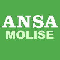 Ansa Molise(@AnsaMolise) 's Twitter Profile Photo