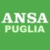 Ansa Puglia (@AnsaPuglia) Twitter profile photo