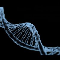 ALI ALAHMARI. (@alahmari_md) 's Twitter Profile