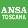 AnsaToscana's profile picture. Le top news dell’ANSA, la più importante agenzia d’informazione in Italia. Ultim’ora, notizie, foto e video dalla Toscana. Aggiornamenti 24 ore su 24