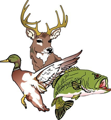 Noticias sobre caza, pesca y silvestrismo y compra venta de material para caza y pesca de segunda mano.