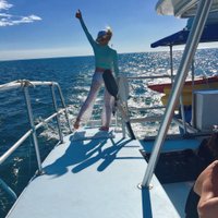 Deborah Rutherford (@drintexas) 's Twitter Profile