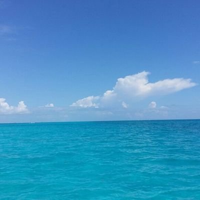 Denissegr333's profile picture. 