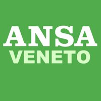 Ansa Veneto(@AnsaVeneto) 's Twitter Profile Photo