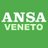 AnsaVeneto avatar