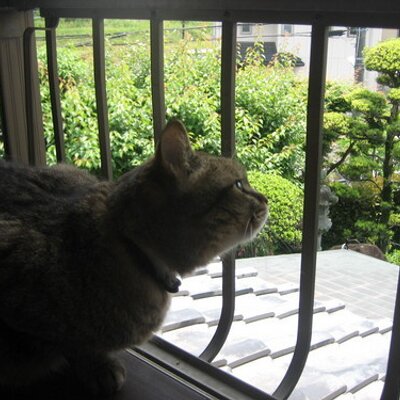 桜子 イギリス連邦経済会議 1932 スターリングブロックの結成 オタワ連邦会議