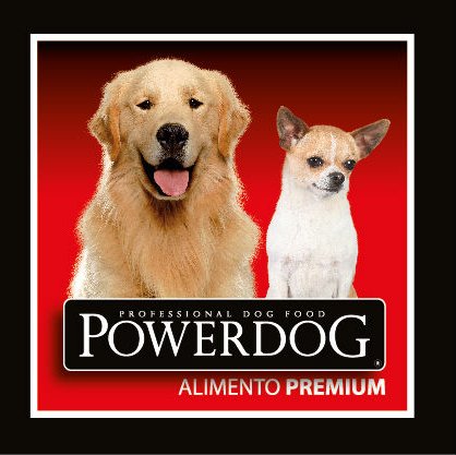 powerdog_ Profile Picture