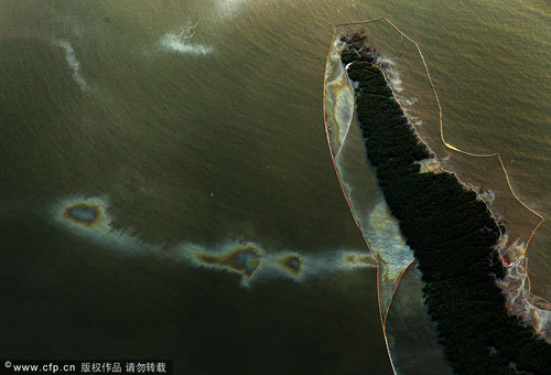 helptheworld2's profile picture. 