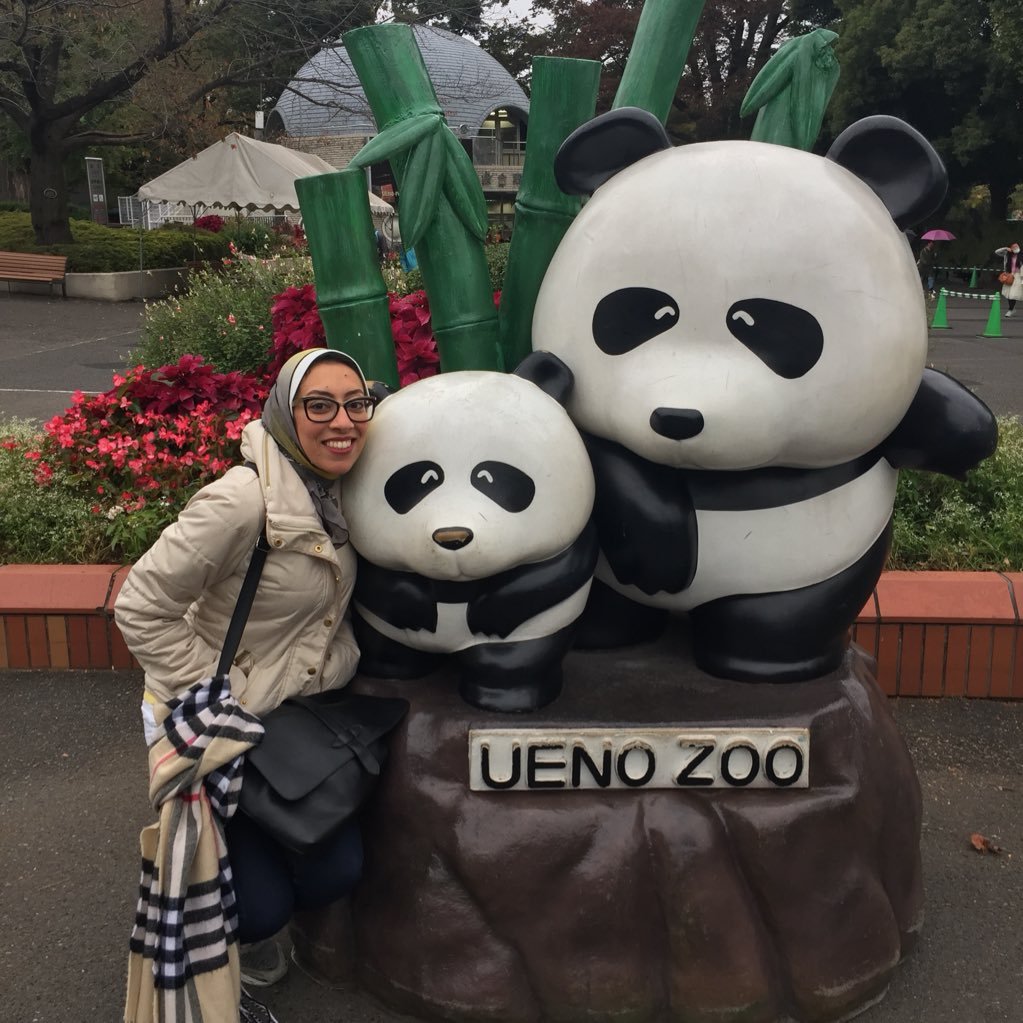 RehabElAwamry's profile picture. 