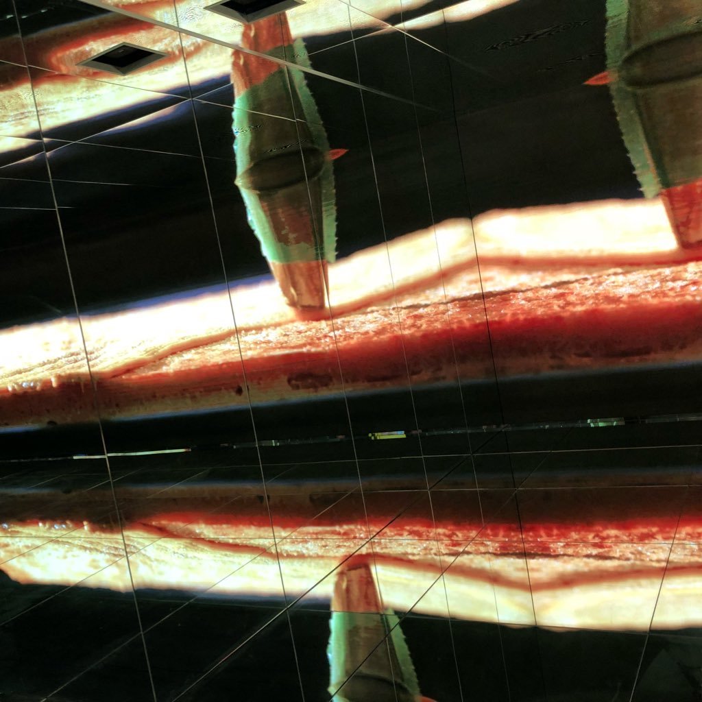 AleRube1's profile picture. 