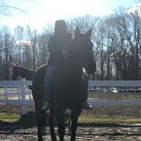 b.a (@b1962a) 's Twitter Profile