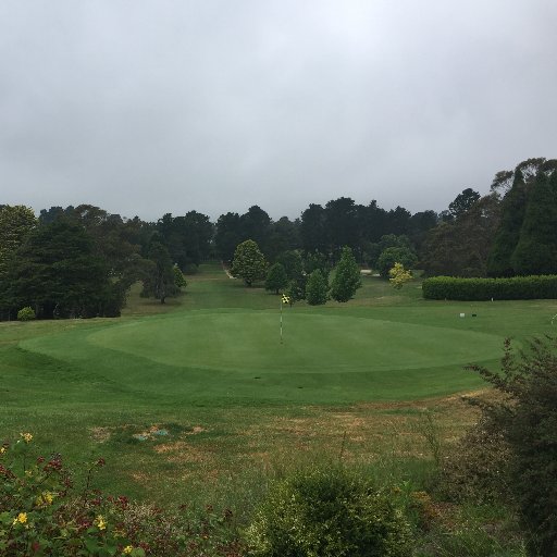 Wentworth Falls Country Club, Blue Mountains,N.S.W, Australia.