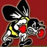 bbhathletics's profile picture. Official Home of the Brecksville-Broadview Heights High School Athletic Department