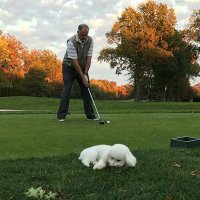 Dan Malloy (@doubleeagledan) 's Twitter Profile