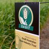 SAGrainTrust's profile picture. The South Australian Grain Industry Trust Fund (SAGIT) invests in local research to benefit the SA grain industry.