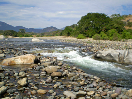 plebecarrillo's profile picture. Atrevido y sincero, amante de lo bueno