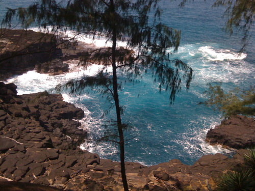 Closet gourmet that enjoys cooking and all of the culinary experiences in the Hawaiian Islands & wherever I visit. Got Kona? http://t.co/qwRpHOcpoQ
