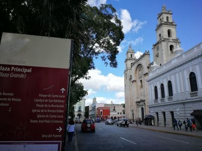 travel_yucatan's profile picture. 