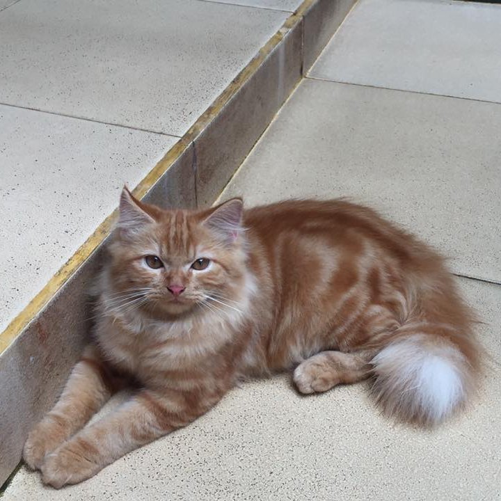 poohjepsen's profile picture. 