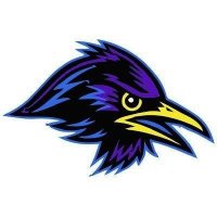 STARLINGS ✈️ (@starlings_wcf) 's Twitter Profile