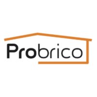 Probrico (@probrico2) 's Twitter Profile