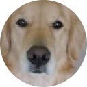 ako (@0a0k0o) 's Twitter Profile Photo ako (@0a0k0o) 's Twitter Profile Photo