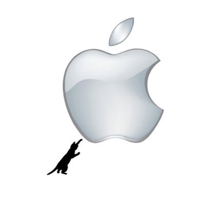 sakuranamiki15's profile picture. さくらの下🌸