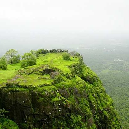 kamaraju03's profile picture. I'm an shy guy when I'm in face to face with you