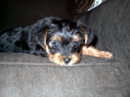 samwhaley's profile picture. 