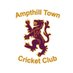 Ampthill Town CC 🏏 (@AmpthillTownCC) Twitter profile photo