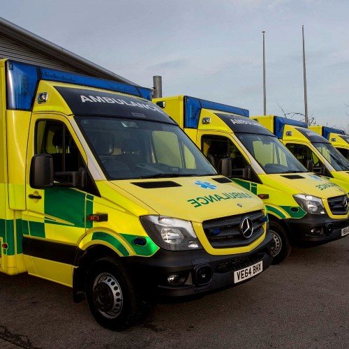 becomeapara's profile picture. 