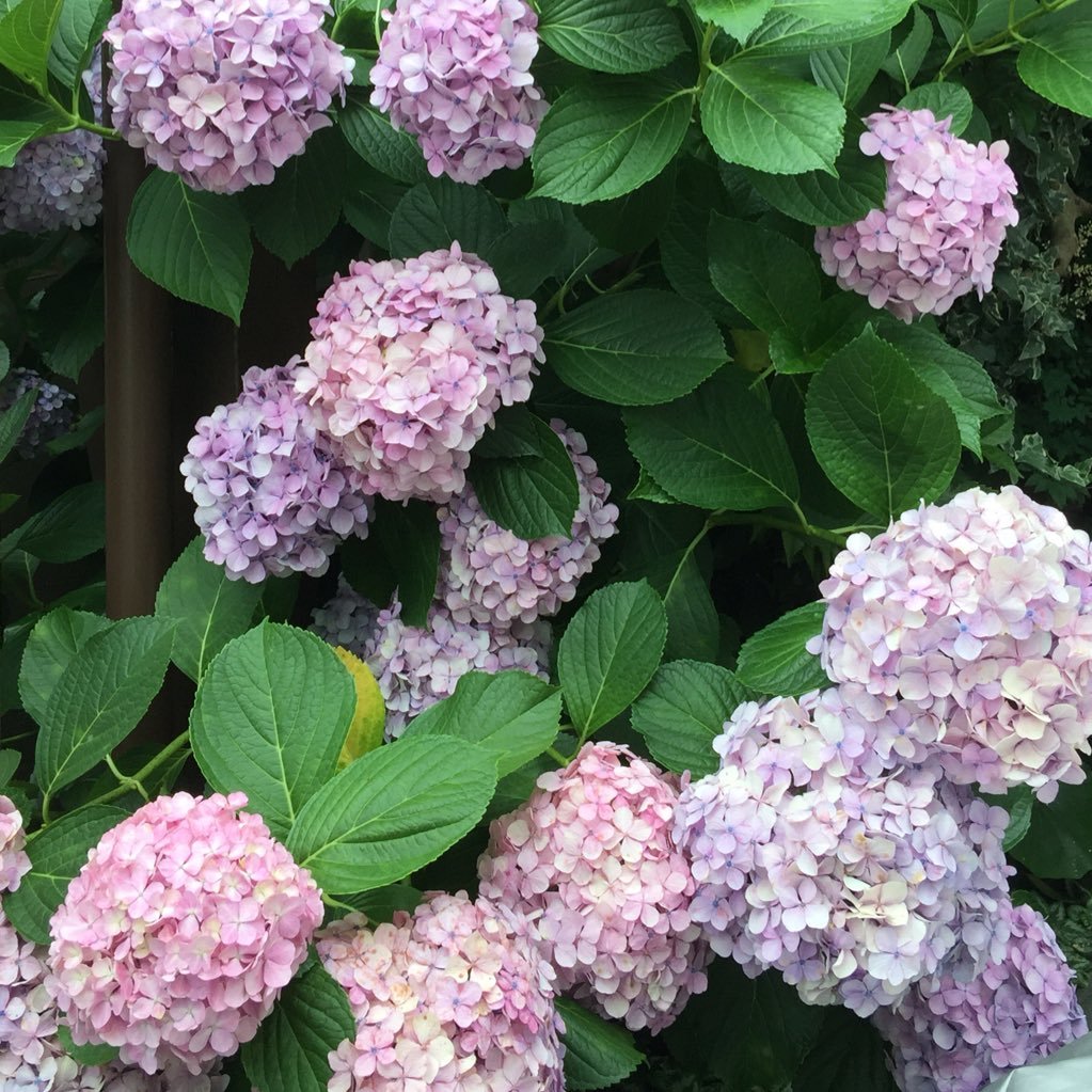 Heidi1269's profile picture. 