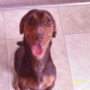 amanda mcilwain - @smileygurl2009 - Twitter