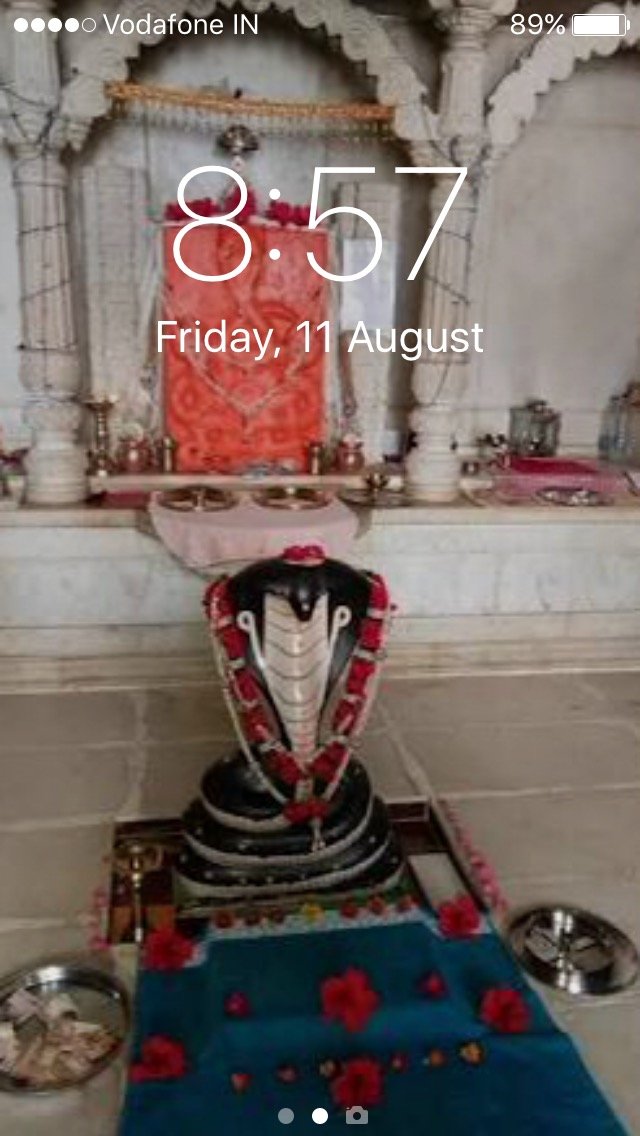 dkapdi's profile picture. fine