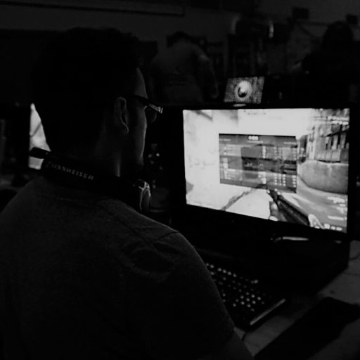 StarqlMorison's profile picture. 