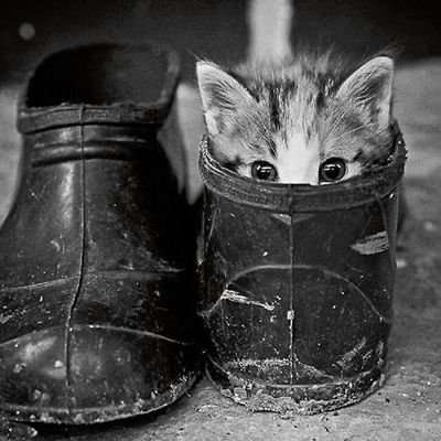 LifeCanGetMessy's profile picture. I am a freelance writer who writes from a lifetime of experience.