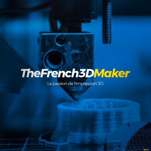 Je suis un jeune homme de 24 ans qui est un grand passionné de l'impression 3D. J'ai ouvert une chaîne YouTube pour partager ma passion avec vous dans le fun.