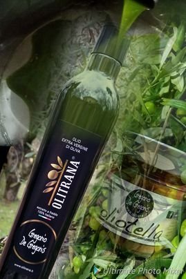 Produzione olio extra vergine di oliva