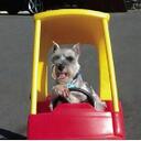 Donna Hutton - @Catzcradle - Twitter