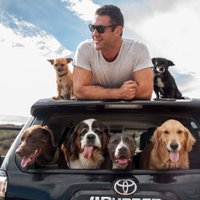TheAsherHouse (@theasherpaws) 's Twitter Profile